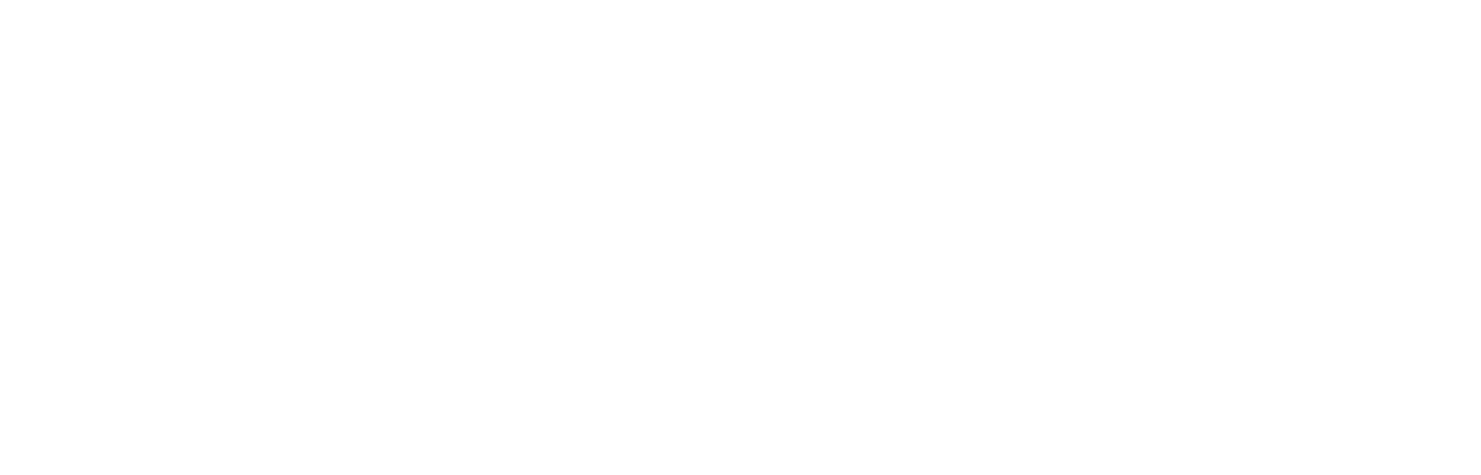 SOL_VisualInsights_Lockup_Light