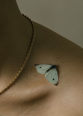 Still life of moth and gold necklace chain on model