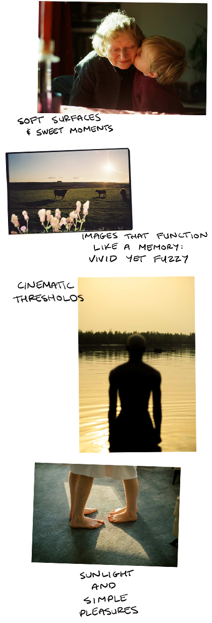 Layout of soft, warm, sincere photographs – grandmother and child, livestock in a farm field, a silhouetted man in water at sunset, a couple's feet