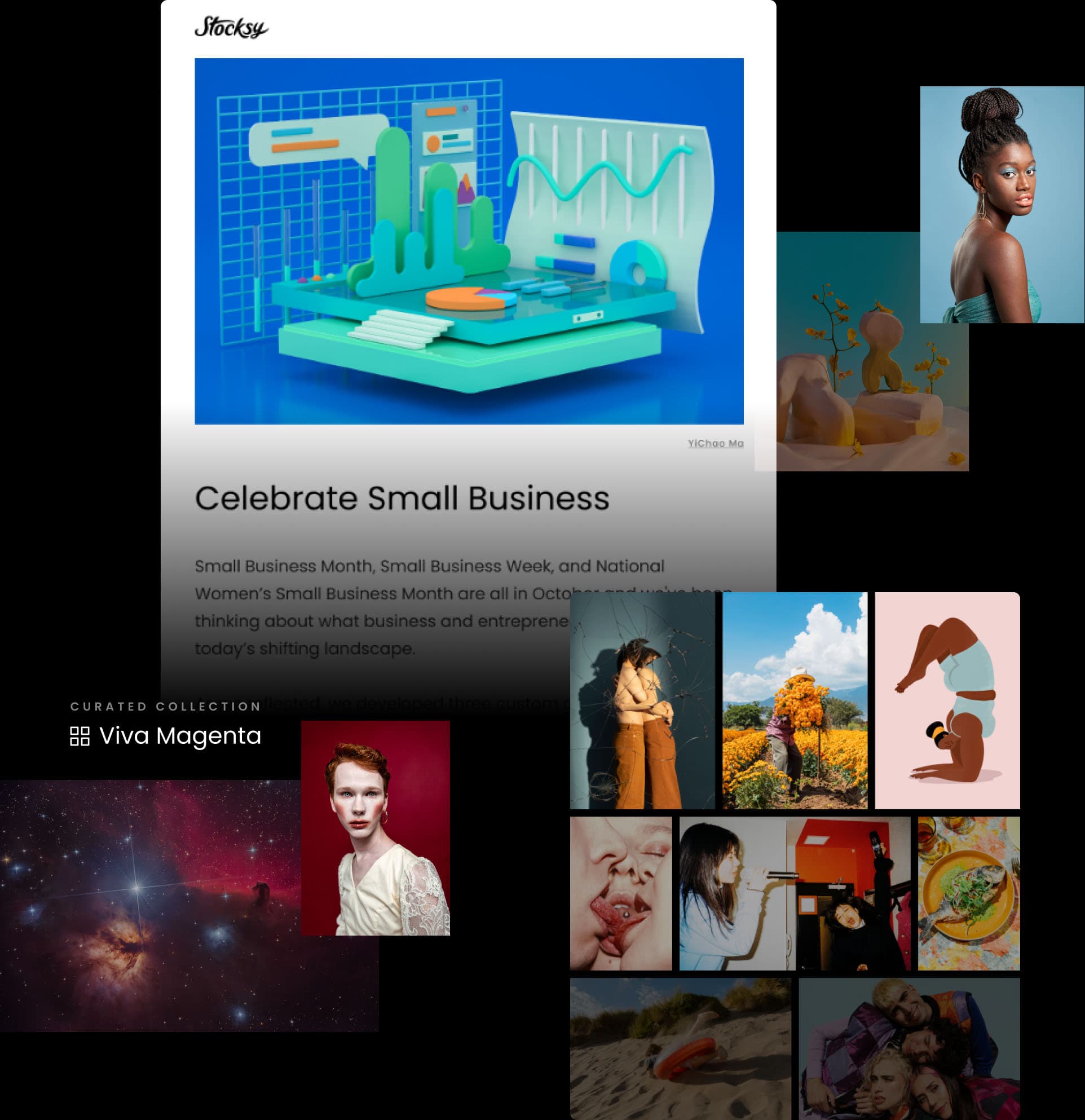 Stocksy Newsletter preview collage of sample imagery and content